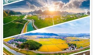 高举绿色发展旗帜，棕榈股份稳定有序跨过高质量发展元年